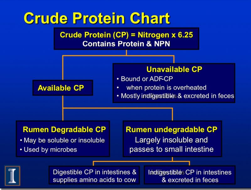 <p>Crude protein %= Nitrogen content (%) x 6.25</p>