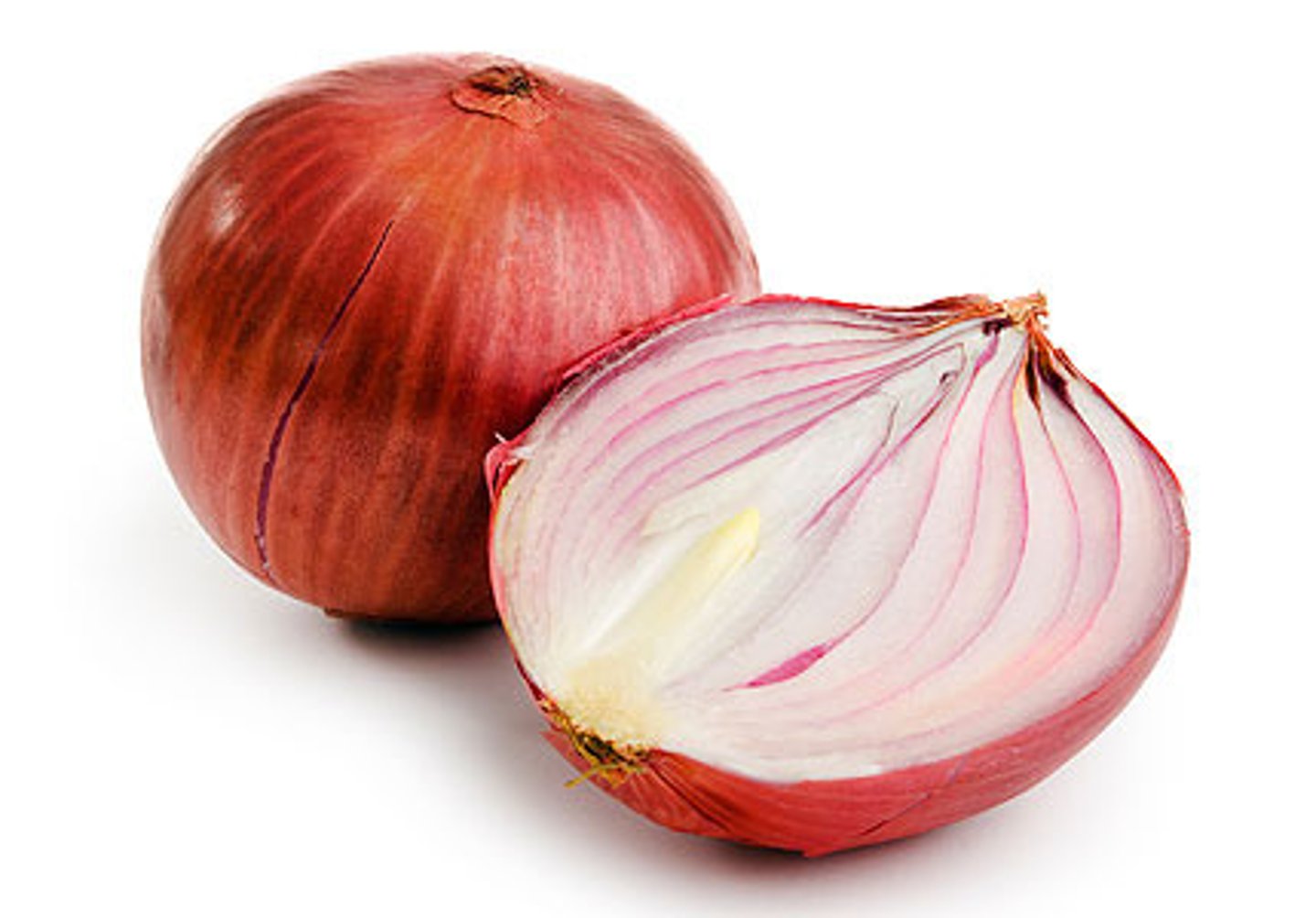 <p>onion</p>
