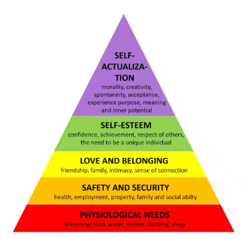 <p>growth needs </p>