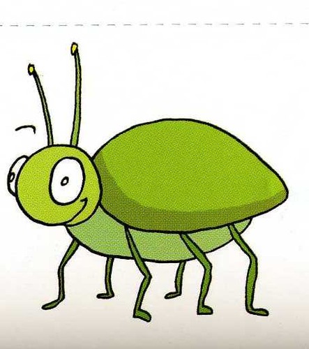 <p>insect</p>