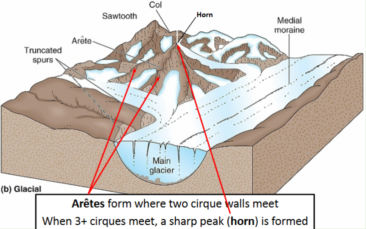 <p>Form where two cirque walls meet when 3+ cirques meet, a sharp peak (horn) is formed</p><ul><li><p>Examples: Mt. Katahdin, ME (tallest peak in state) “knife edge” route is an arete from past glaciation</p></li><li><p>Matterhorn, glacial horn on the switzerland / Italy borded</p></li></ul><p></p>