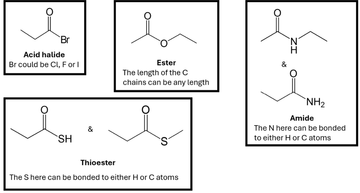 <p>Carboxylic acid derivatives</p>