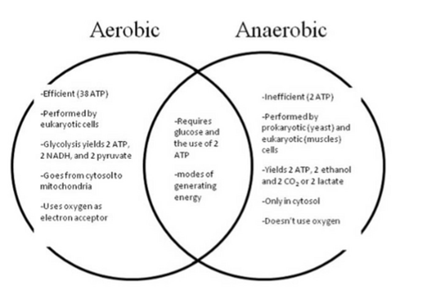 <p>Glycolysis</p><p>NAD+</p>