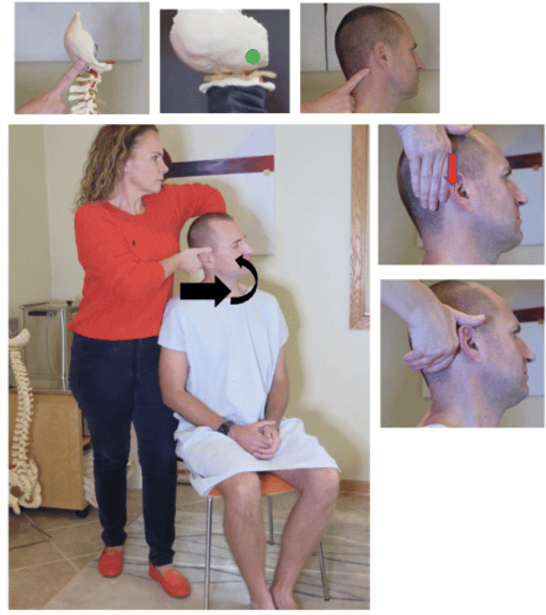 <p>• PP: Seated in chair with a back, permission to contact the neck, identify how you found the segment</p><p>• DP: Stand behind patient, towards side of contact, tissue slack S-I</p><p>• CH: Ventral lateral surface of index finger of the corresponding hand to the side of contact, palm turned up, wrist straight, forearm approximately 45° to patient , remaining fingers cupping lower occiput, superior mastoid groove on the side of contact</p><p>• IH: modified indifferent hand 1 # cups the patient's head and supports the contralateral occiput</p><p>• VEC: P-A with counterclockwise rotation (orclockwise depending on the listing)</p>