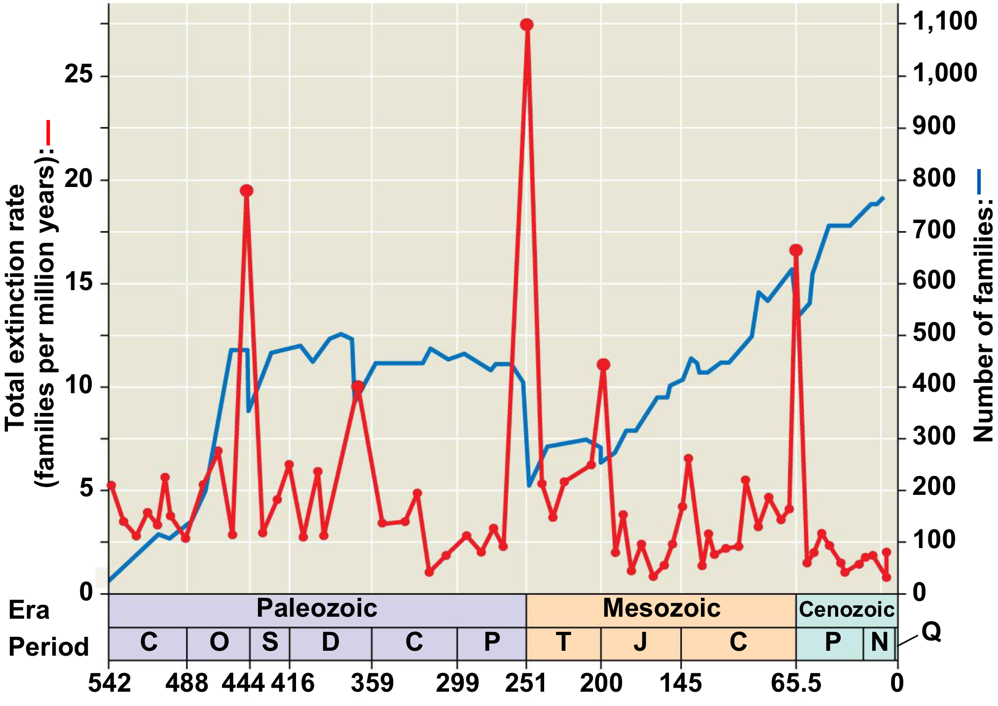 <p>Years: around 252 Mya</p><p>Extinction: 57% and lasted around 60,000 years</p><p>What happened:&nbsp;<span>Massive amount of volcanic gas (carbon dioxide, methane, hydrogen sulfide, etc.) released from Siberian Traps.</span><br><span>Volcanic eruption estimated to last for ~1,200 years&nbsp;</span></p><p><span>Carbon dioxide levels reach</span><br><span>~2000 ppm (Currently ~423ppm)</span></p><p><span>NOTE:&nbsp;Enough lava to bury the continental United States in</span><br><span>a kilometer of volcanic rock.</span></p>