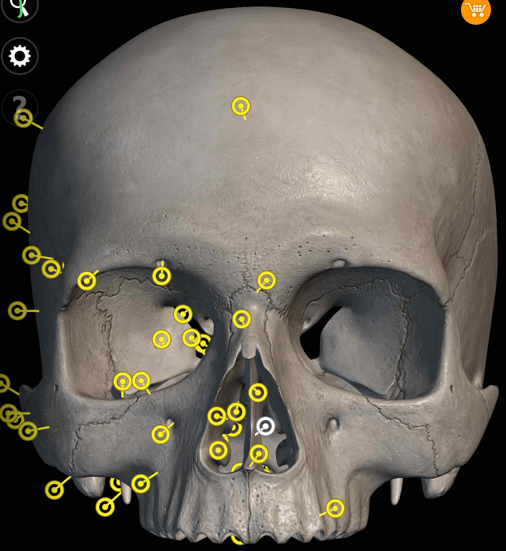 knowt flashcard image