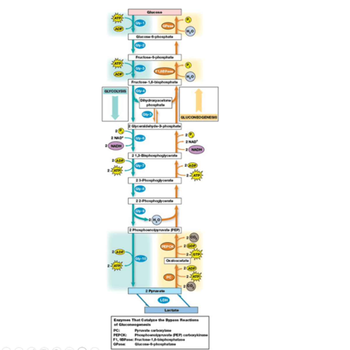 <p>Dit zijn perfect omkeerbare reacties, no worries dus</p>