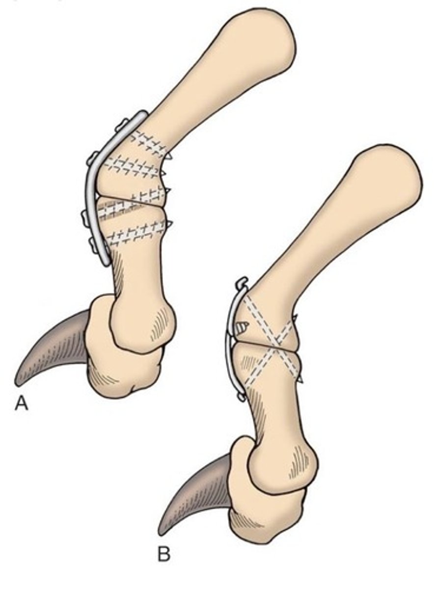 <p>What is B?</p>
