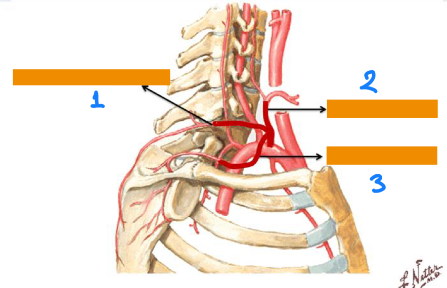 <p>1</p>