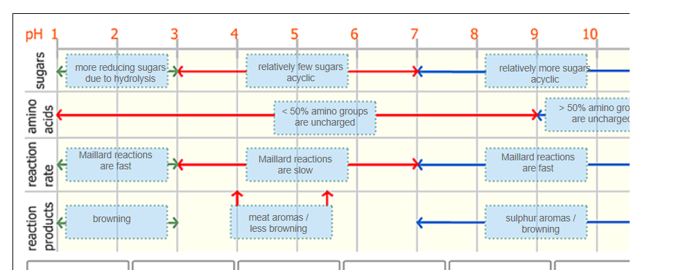 <ul><li><p>Low pH = lower reaction rate, however the amount of Maillard reactions is higher as hydrolysis takes place at a low pH</p></li><li><p>Hydrolysis produces the substrates for the Maillard reactions, such as reducing sugars and amino acids)</p></li></ul><p></p>