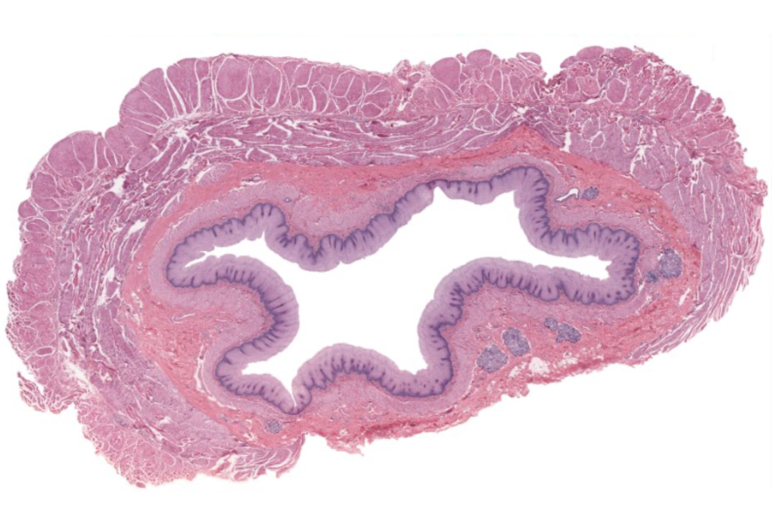 <p>What is this?</p>