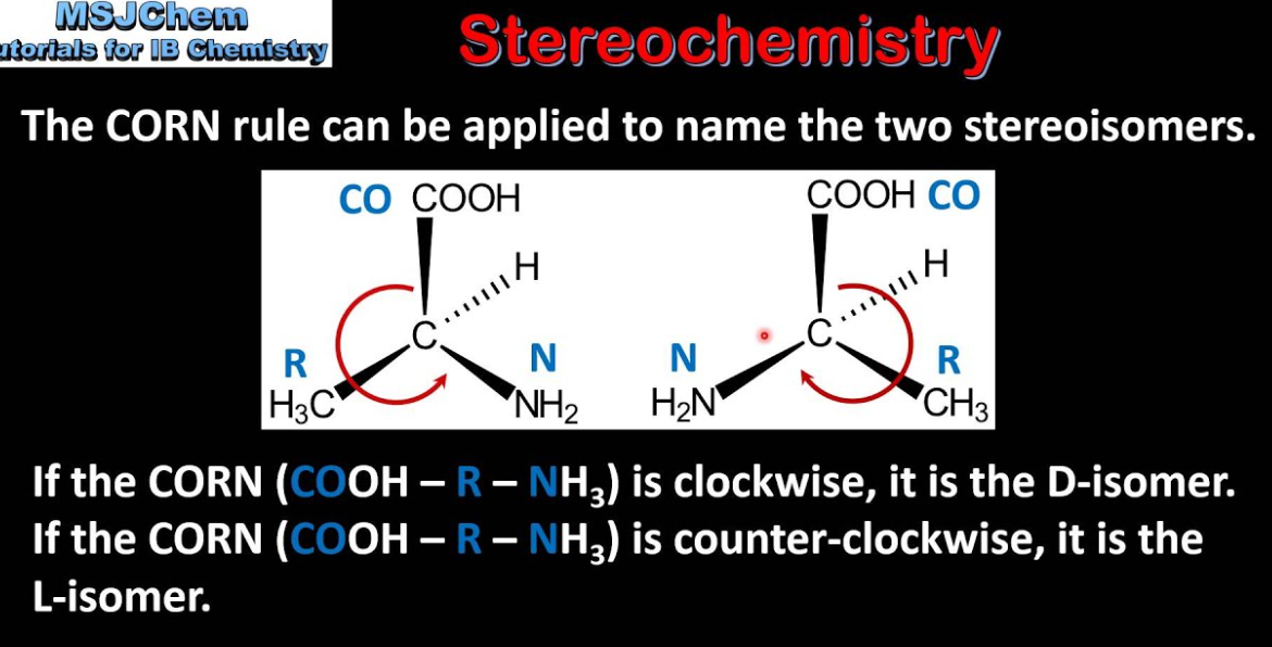 <ol><li><p>Look down the <strong>H-C<sub>α</sub></strong> bond </p></li><li><p>If <strong>CO -> R -> N </strong>(CORN) goes clockwise, it's<strong> L</strong> configuration.</p></li></ol><p></p>