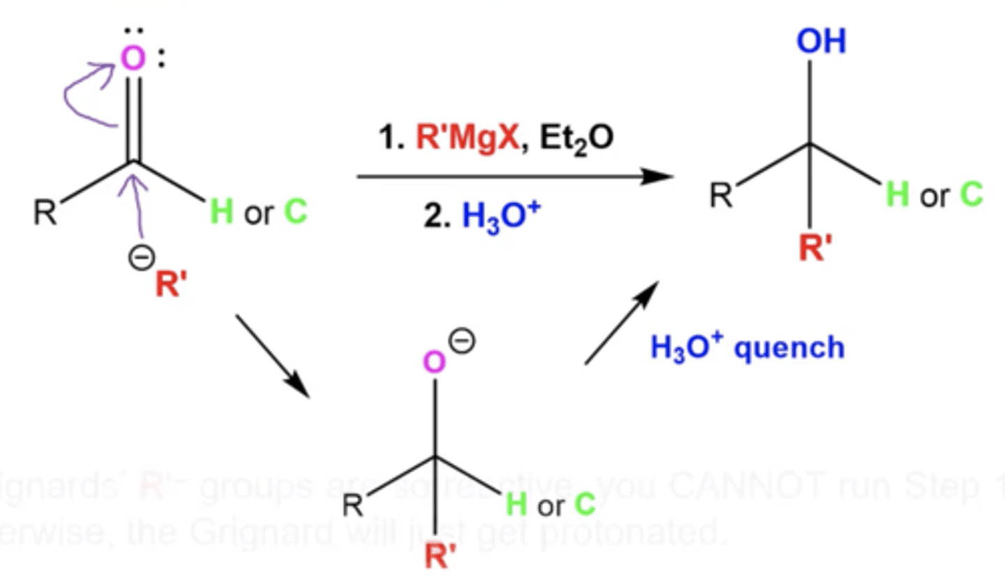 <p>1. R- from Grignard attacks carbonyl carbon, which pushes up the double bond protons onto the carbonyl oxygen</p><p>-this forms a tertiary intermediate</p><p>2. the O- from the carbonyl is protonated by H3O to produce an OH</p>