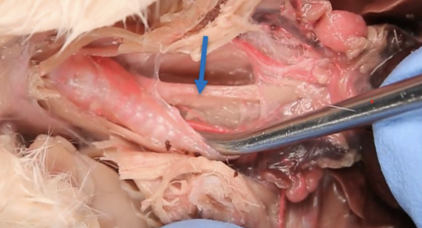 <p>What is this?</p>