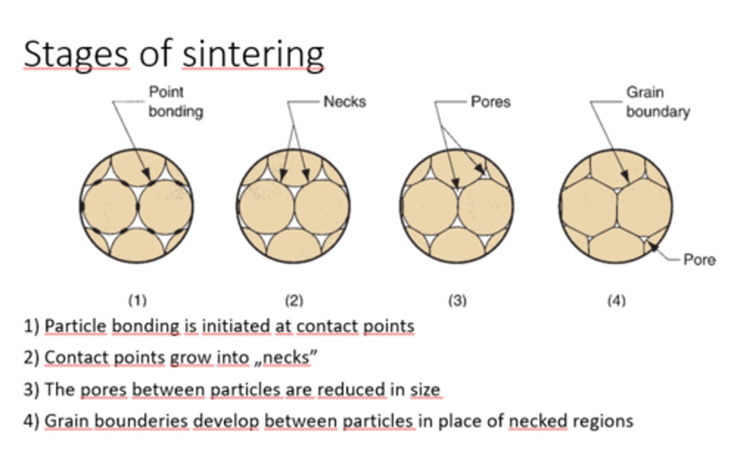 <p>Sintering is the process whereby green compacts are heated in a controlled-atmosphere furnace to a temperature below the melting point but sufficiently high to allow bonding (fusion) of the individual particles</p>