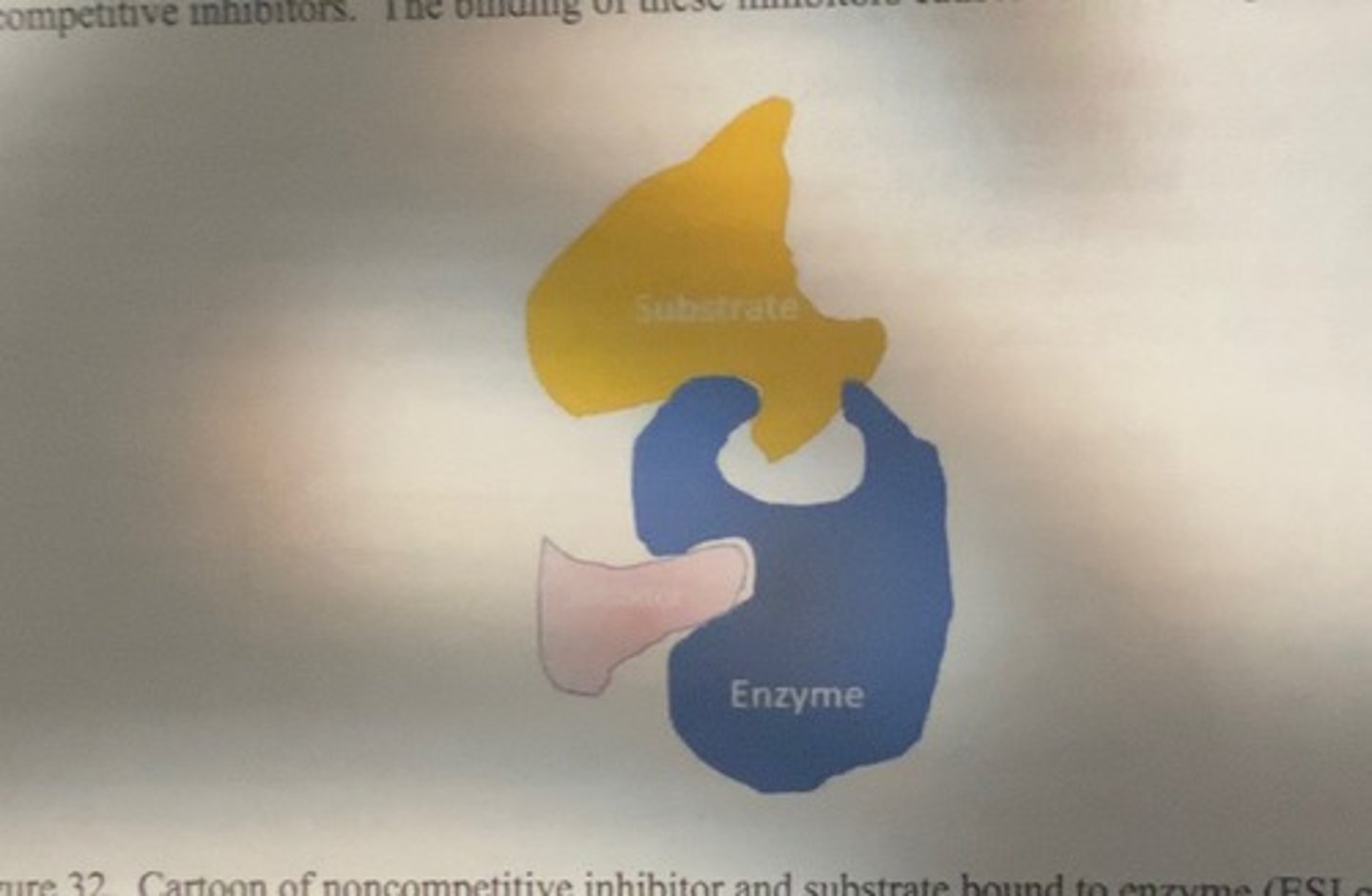 <p>-inhibitors that bind to an enzyme at a site that is not the active site and act independently of the presence or absence of bound substrate</p>