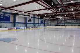 <p>rink</p>