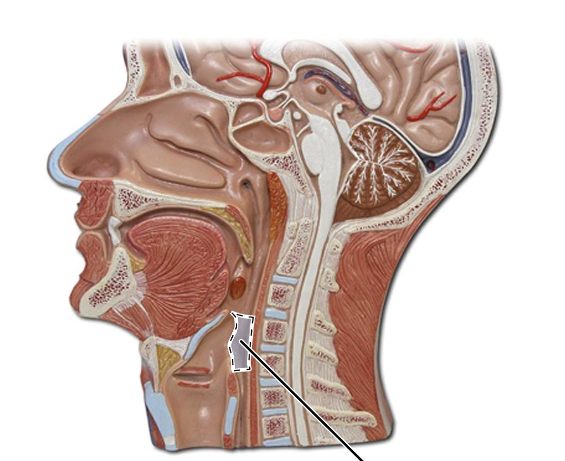 <p>What is this?</p>