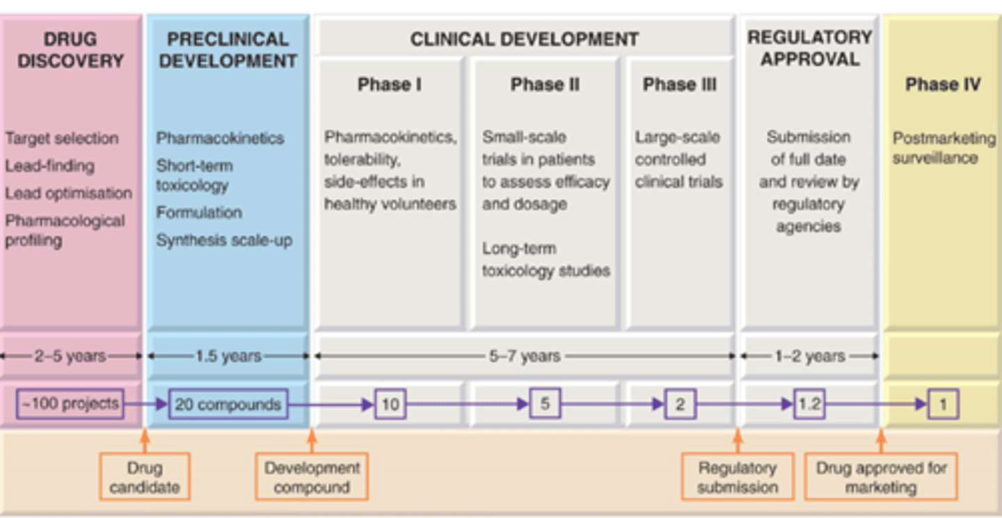 <p>phase 1-> NOT patients, but rather healthy humans</p>