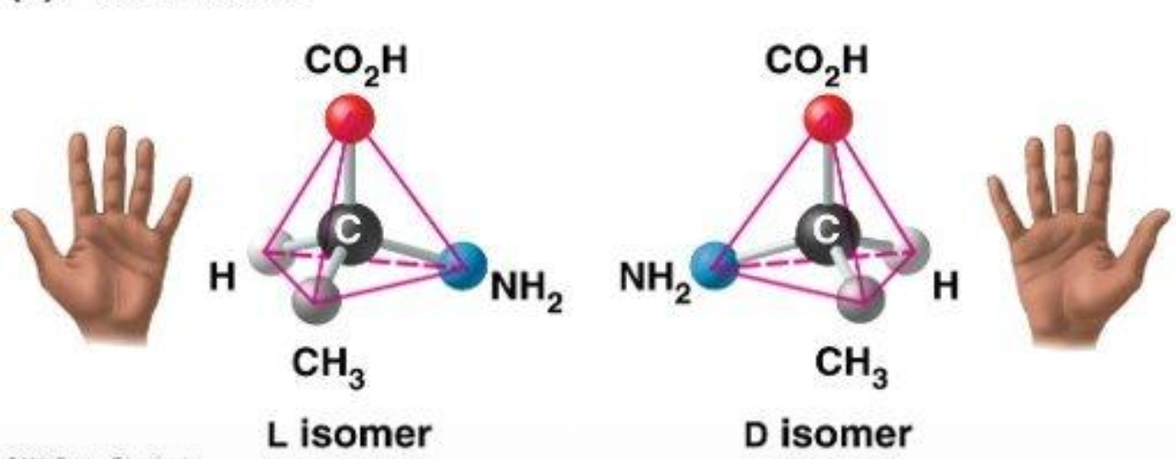 <p>Mirror images</p>
