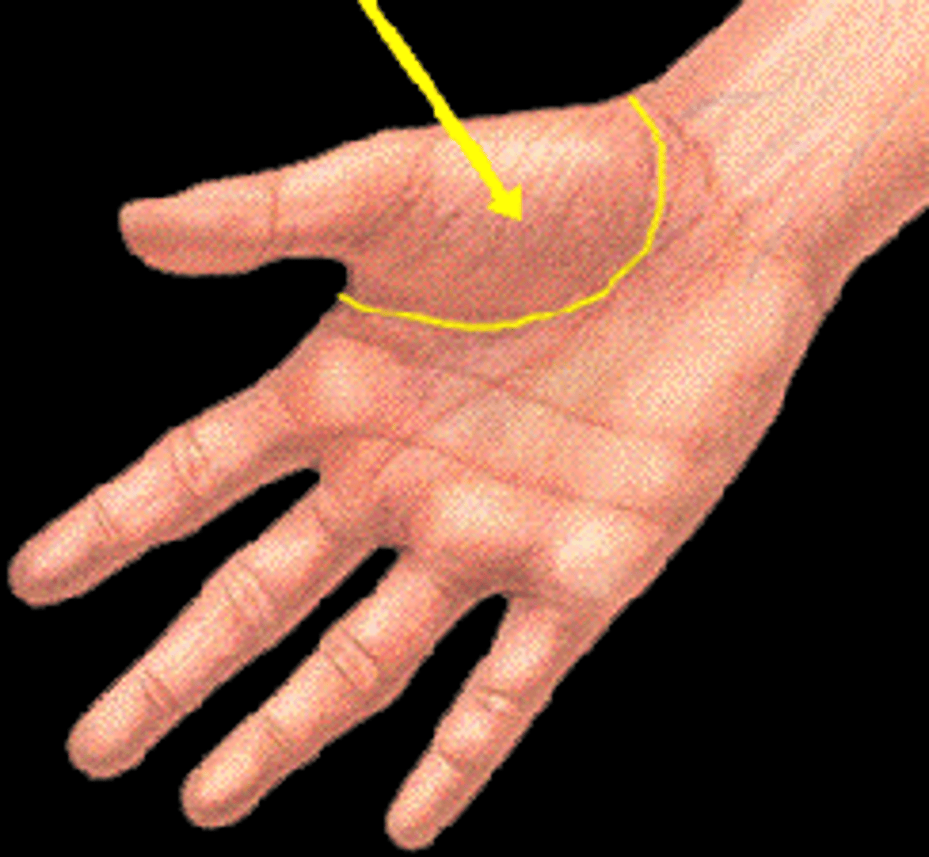 knowt flashcard image