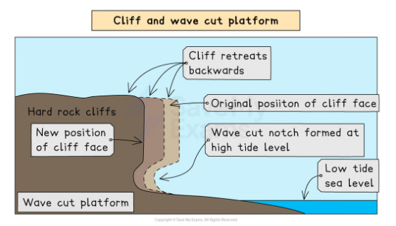 <p>key areas of erosion : wave cut notch, base of cliff (occurs by undercutting)</p><p>climate change can make the process faster and the wave cut notch will be clearer and higher</p><p>the rock will overhang the notch. the overhang will collapse and the cliff will retreat. this will create a wave cut notch platform which is visible during low tide and submerged during high tide </p>