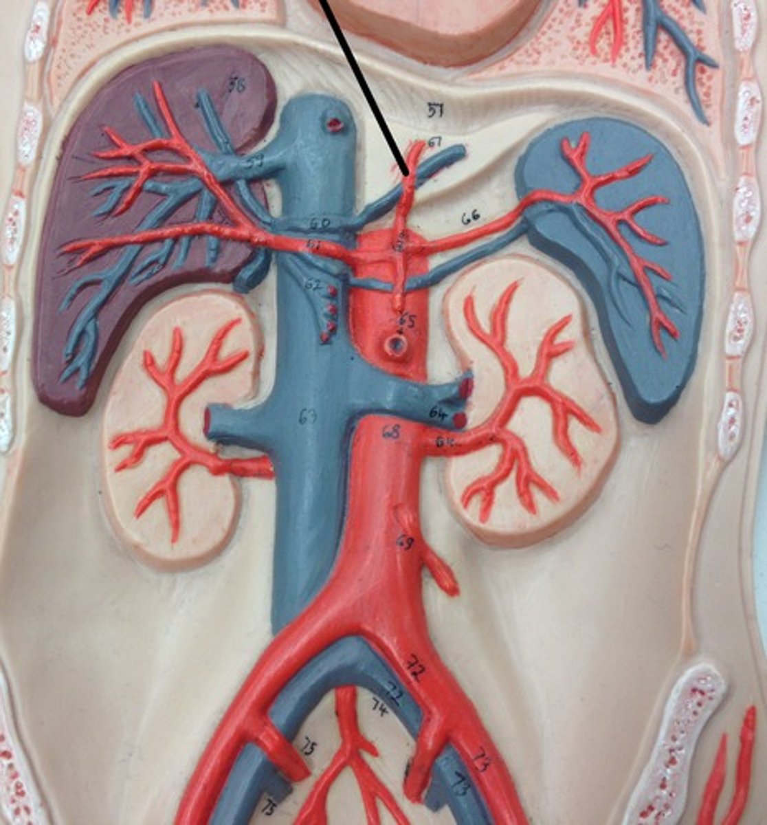 <p>What structure?</p>