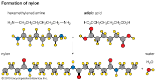 <p>A long molecule consisting of many similar or identical monomers linked together by covalent bonds.</p>