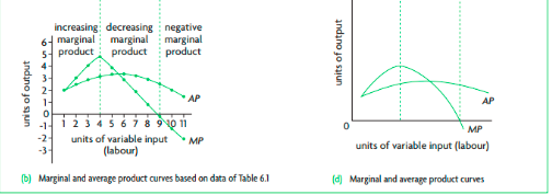 The additional product produced by one additional unit of variable input.

MP= ΔTP / Δ units of variable input