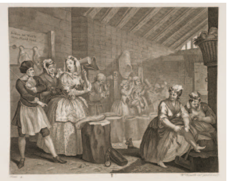 <p>Label the Illustrator</p>