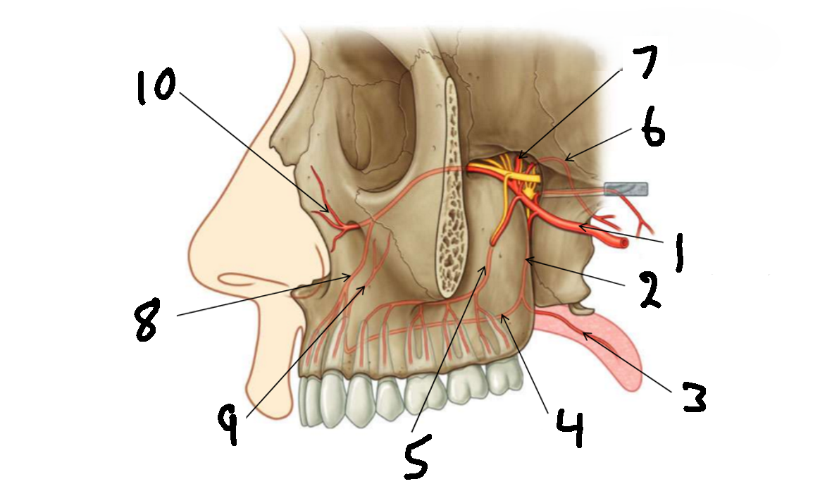 <p>What is 3?</p>