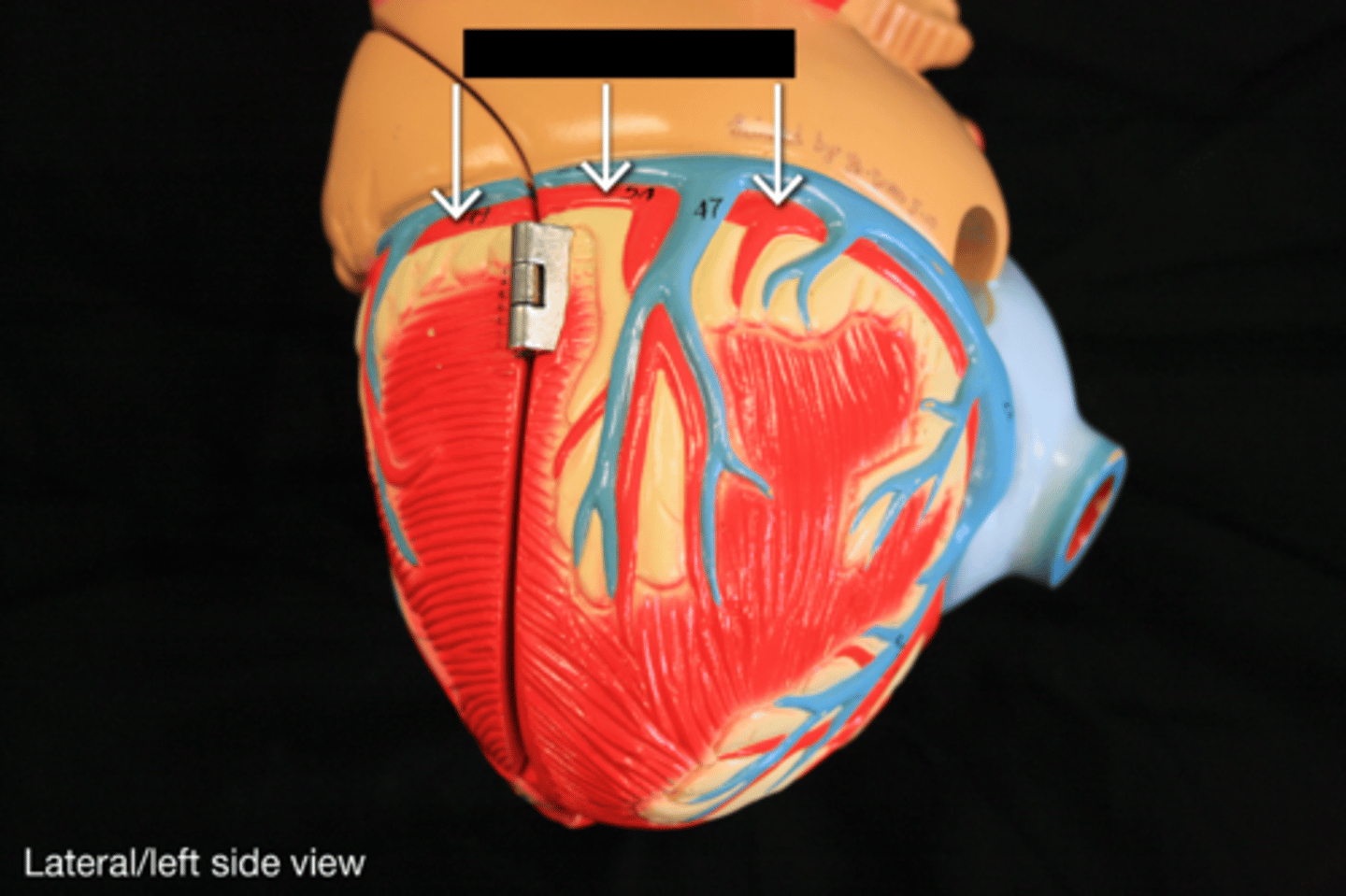knowt flashcard image