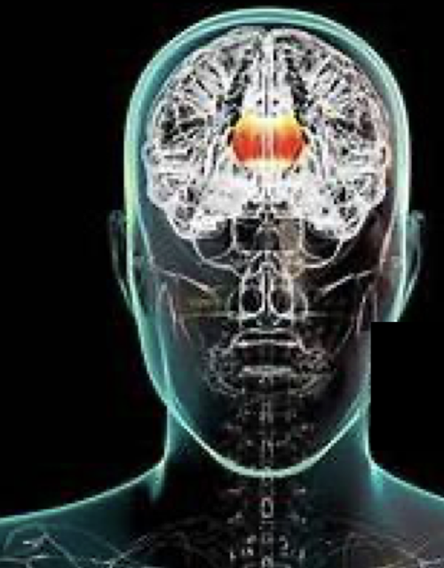 <ul><li><p>3-12 years</p></li><li><p>Communication btwn L and R brain; Lateral Processing</p></li><li><p>Traumatized Children </p></li></ul><p></p>