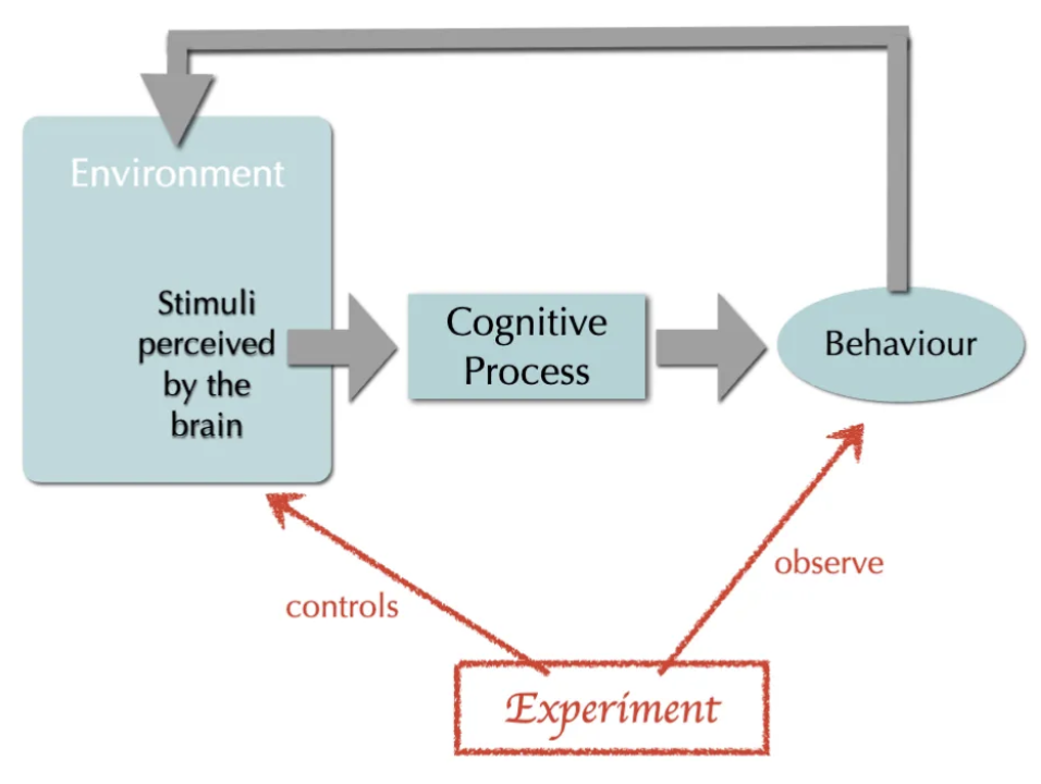 <p><span><strong>control</strong></span> the stimuli (environment) and <span><strong>observe</strong></span> the behavior</p>