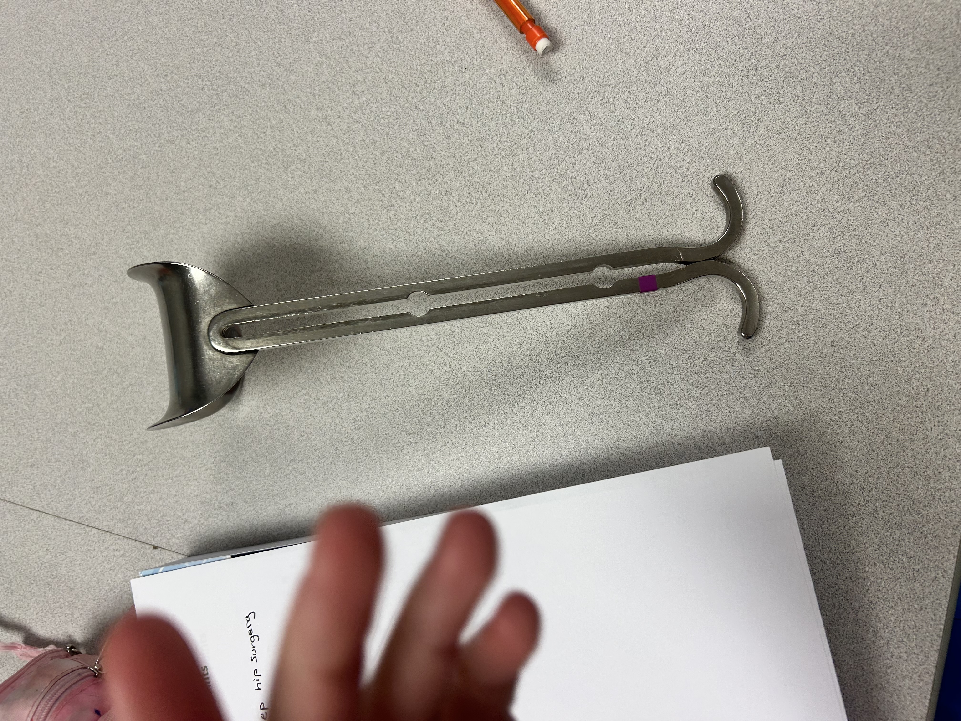 <p>protects bladder during C sections</p>