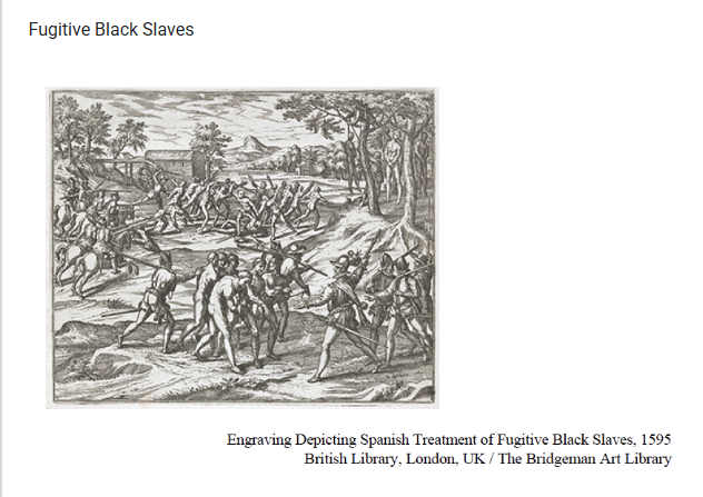 <p><span style="line-height: 1.5;"><span>What was the most effective long-term response of African slaves to the treatment depicted in the image above?</span></span></p>