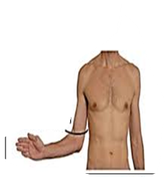 <p>what movement is this</p>