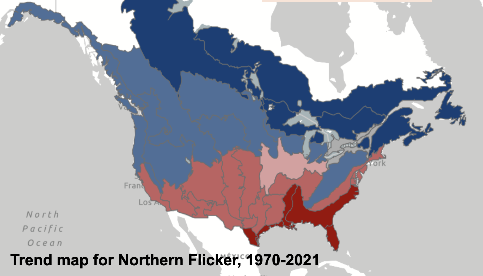 <p>Started in 1900, i<strong>mportant for estimating resident wintering populations of birds</strong>. Across North America every December-January, volunteers create circle areas that they survey every year. Record effort to understand the strength of the data.</p>