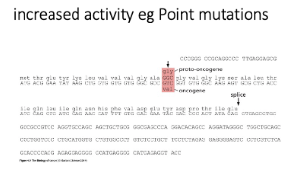 <p>TEST</p><ul><li><p>sufficient - express novel hybrid → cancer</p></li><li><p>necessary - down regulate novel hybrid (RNAi, CRISPR) in tumor cells</p></li></ul>