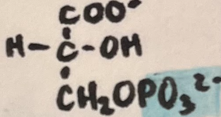 <p>name the following intermediate</p>