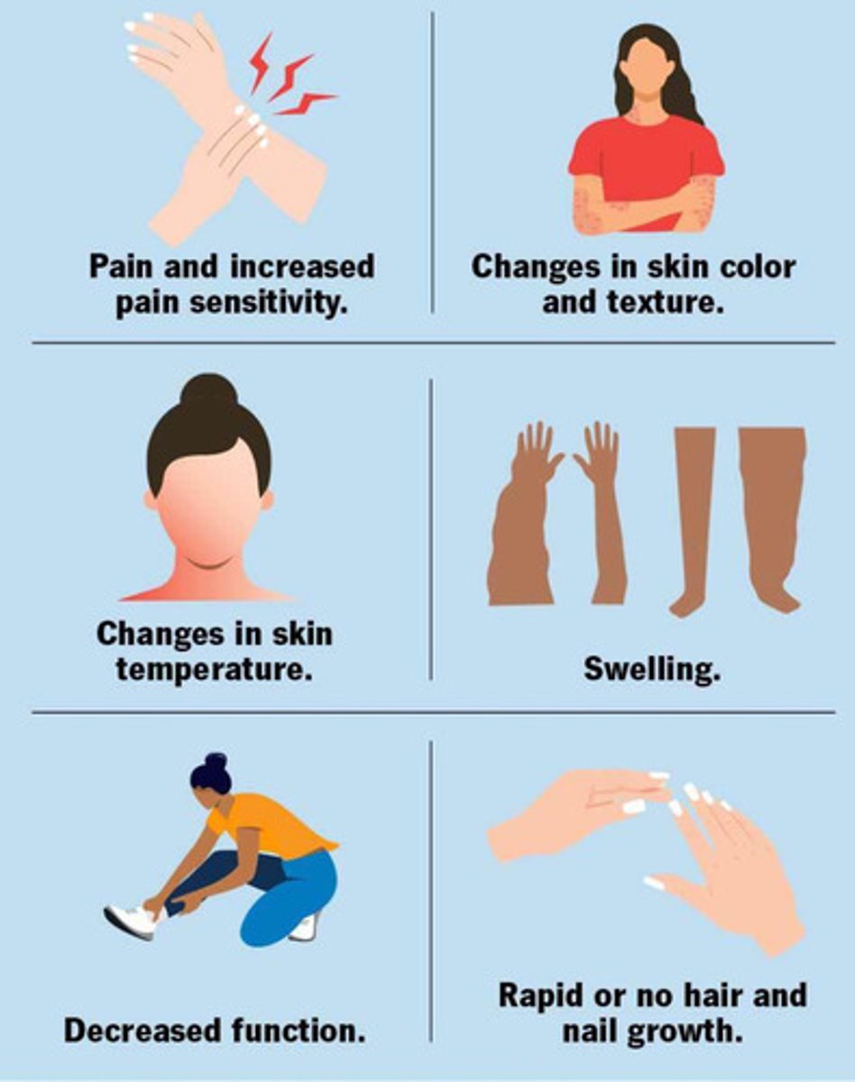 <p>- pain more extreme than injury</p><p>- pain characteristics: severe, burning, aching</p><p>- pain elicited by very low stimulus</p><p>- physiologic changes to skin (shiny, thin, eczema) &amp; tissue (eg. muscle wasting)</p>