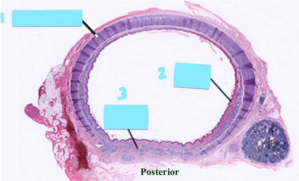 <p>1</p>