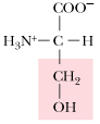 <p>What is the 3 letter abbreviation for Serine?</p>