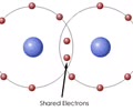 <p>Holds molecules together</p><p>Strongest</p><p>Holds the most potential energy, difficult to break</p><p>Solid line between atoms or two atoms together</p>