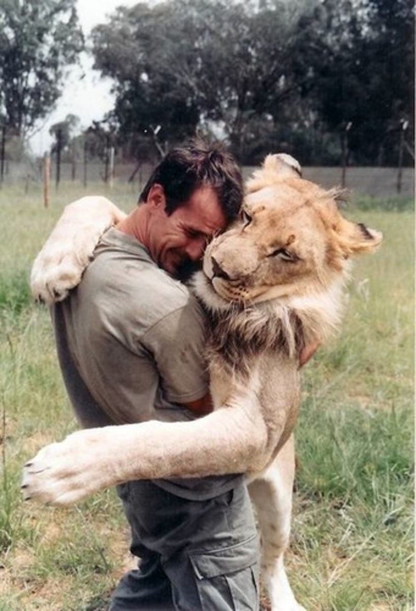 <p>Easy to teach or manage; obedient</p>