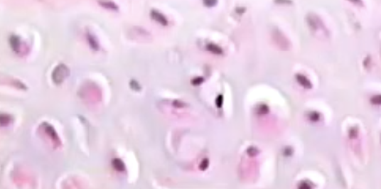<p>what is this?</p>