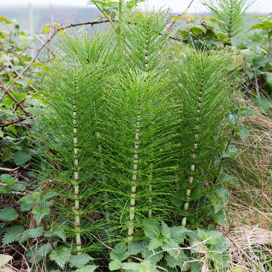 <p>What is this?</p>