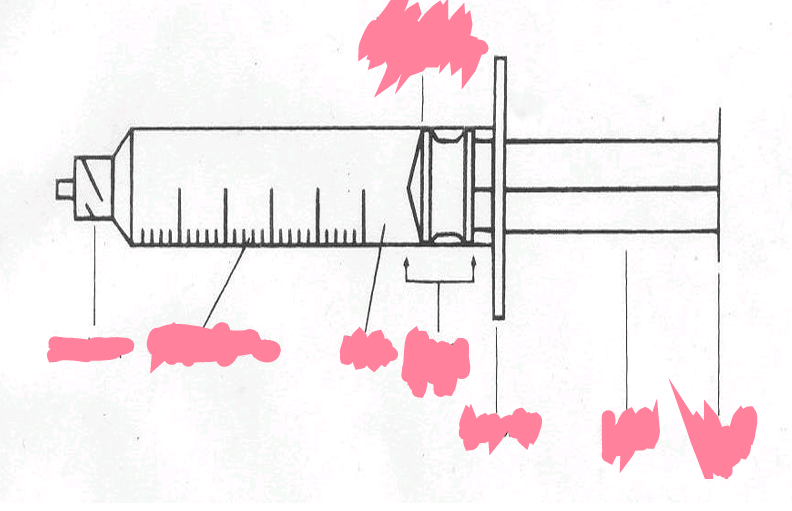 <p>Parts of a syringe </p>