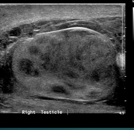 <p>what is this image showing </p>