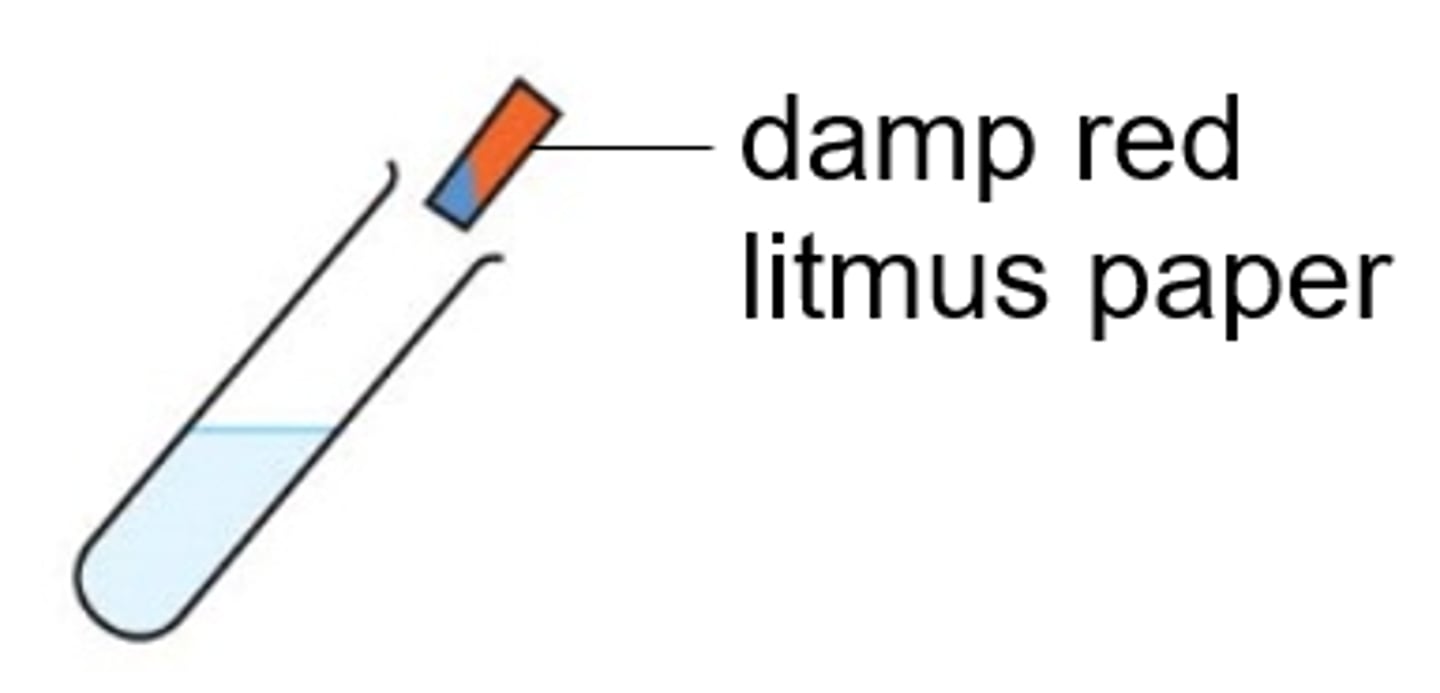 <p>Moist red litmus paper turns blue</p>